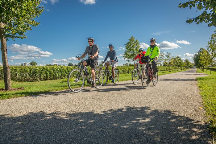 Shore excursions and activities